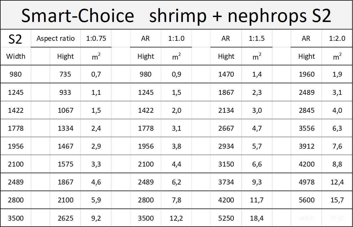 Shrimp & Nephrops
